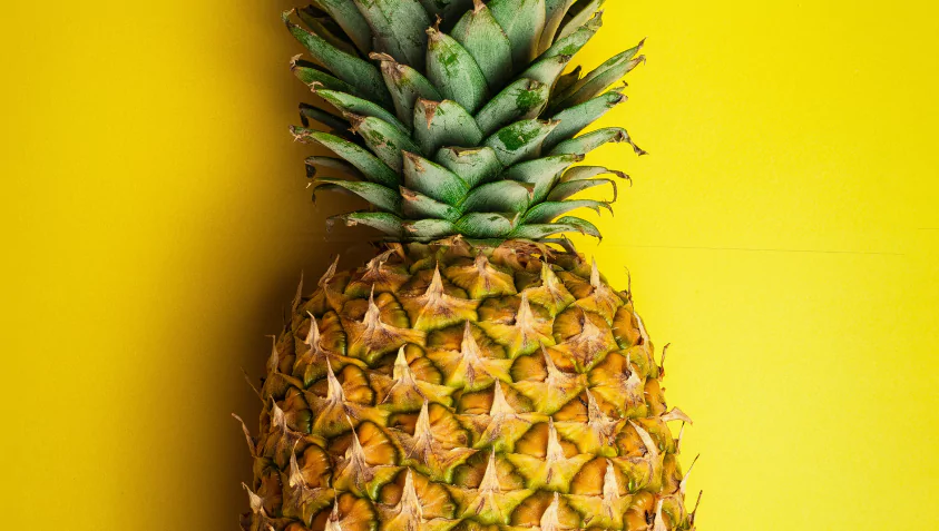 Custom Software Development Company Raagz IT, Image 15