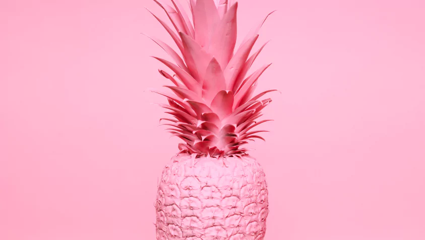 Custom Software Development Company Raagz IT, Image 9