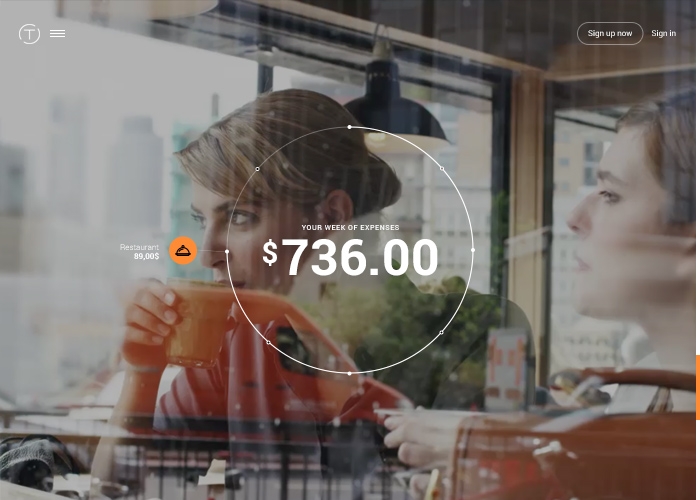 Site trippeo.com infographics