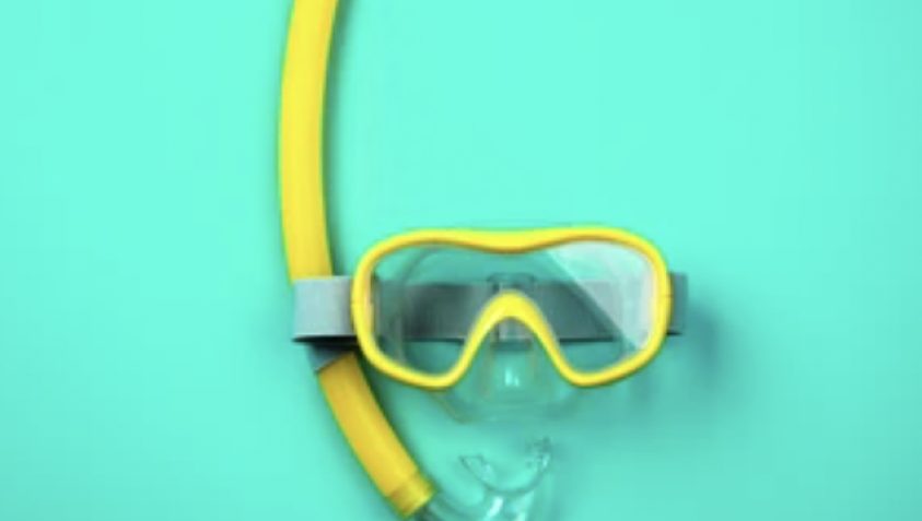 Custom Software Development Company Raagz IT, Image 50